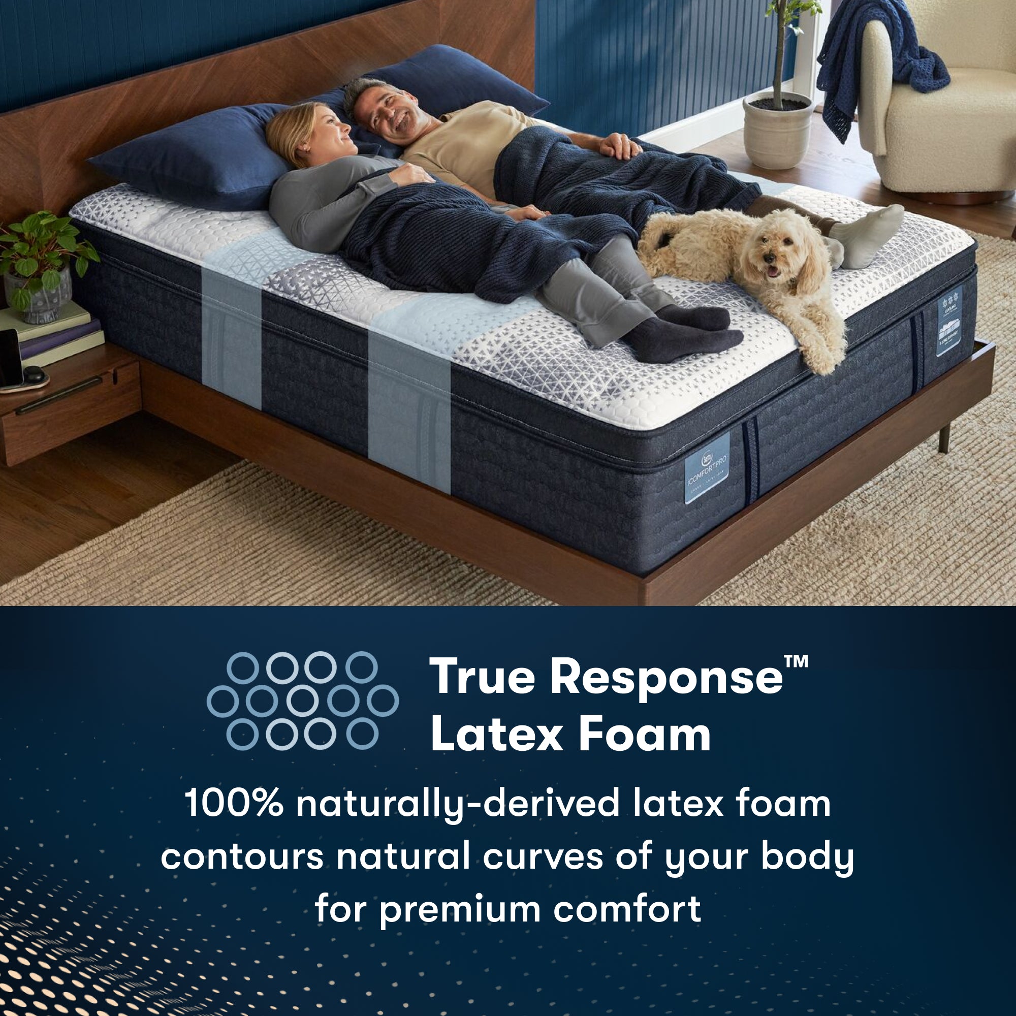 Queen Size Serta iComfort Pro Canterbury Plush Mattress 6 King Size Serta iComfort Pro Canterbury Plush Mattress